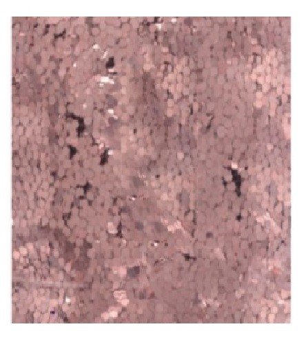 GLITTER ROSE GOLD (283,5G)