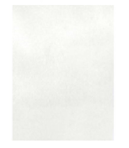 GLITTER BLANCO FINO (283,5G)