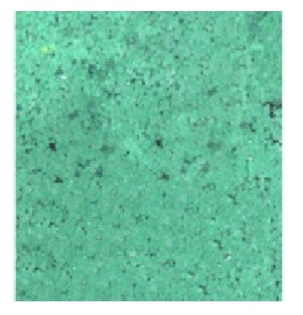GLITTER VERDE (283,5G)