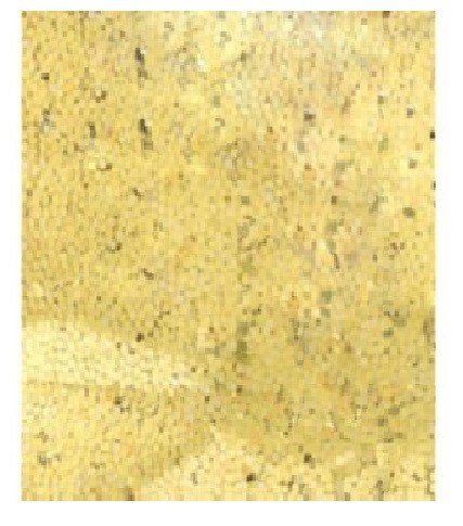 GLITTER DORADO (283,5G)