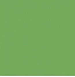 CARTULINA BITONO VERDE ESMERALDA 50X70CM