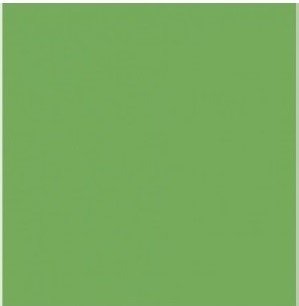CARTULINA BITONO VERDE MANZANA 50X70CM