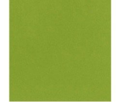 CARTULINA LISA EASTER GRASS 12"X12"