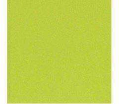 CARTULINA LISA JUICY PEAR 12"X12"