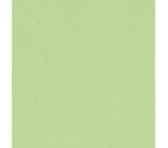 CARTULINA LISA VERDE MANZANA GOLPEADA 12"X12"