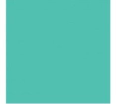 CARTULINA LISA MINTJULEP 12"X12"