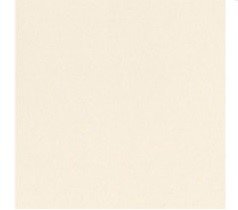 CARTULINA LISA PINK FROSTIN 12"X12"