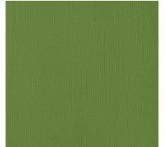 CARTULINA TEXTU SPINACH 12"X12"