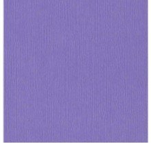 CARTULINA TEXTU WILDPANSY 12"X12"