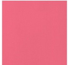 CARTULINA TEXTU GRAPERFRUIT 12"X12"