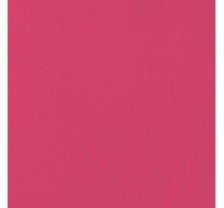 CARTULINA TEXTU WEAVE 12"X12"