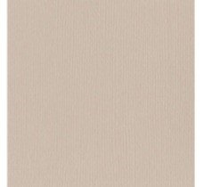 CARTULINA TEXTU TWIG 12"X12"