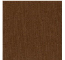CARTULINA TEXTU CAROB 12"X12"