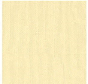CARTULINA TEXTU CHIFFON 12"X12"