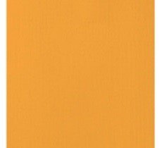 CARTULINA LISA TANGERINE 12"X12"