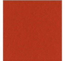 CARTULINA TEXTU NARANJA CLASICO 12"X12"