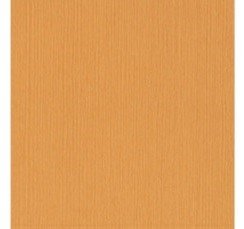 CARTULINA TEXTU MANGO 12"X12"