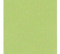 CARTULINA TEXTU PERLADO PETTYCASH 12"X12"