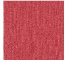 CARTULINA TEXTU PERLADO BLANK CHECK 12"X12"
