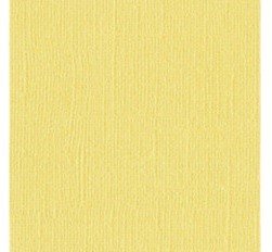 CARTULINA TEXTU PERLADO HOLLYWOOD 12"X12"