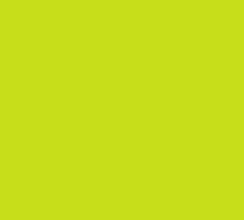 MTS VINIL SISER HTV EASYWEED LIME 38 CM