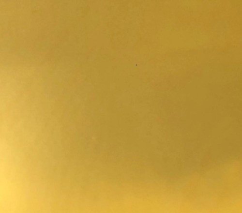 MTS VINIL SISER HTV EASYWEED METAL GOLD 50 CM