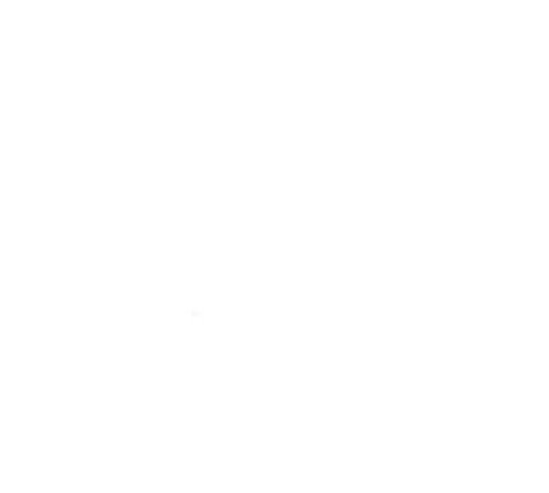 MTS VINIL SISER HTV EASYWEED BRICK 600 WHITE 50 CM