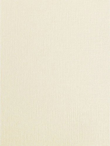 RESMA DE CARTULINA FINA BEIGE 220G (100HOJAS)